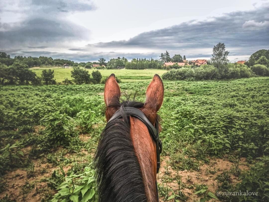 Stajnia Lipowo 45 Villa Buitenkant foto