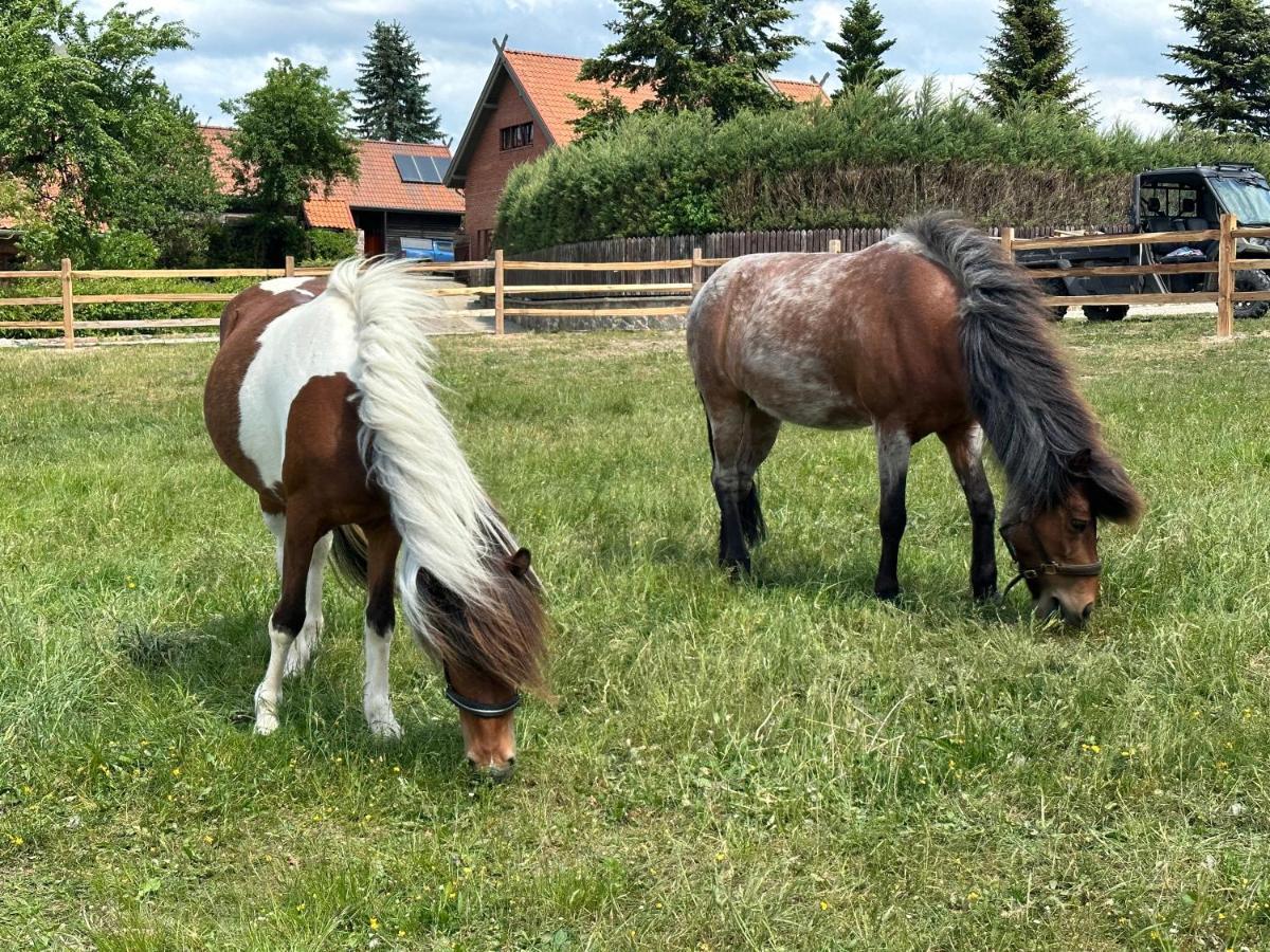 Stajnia Lipowo 45 Villa Buitenkant foto