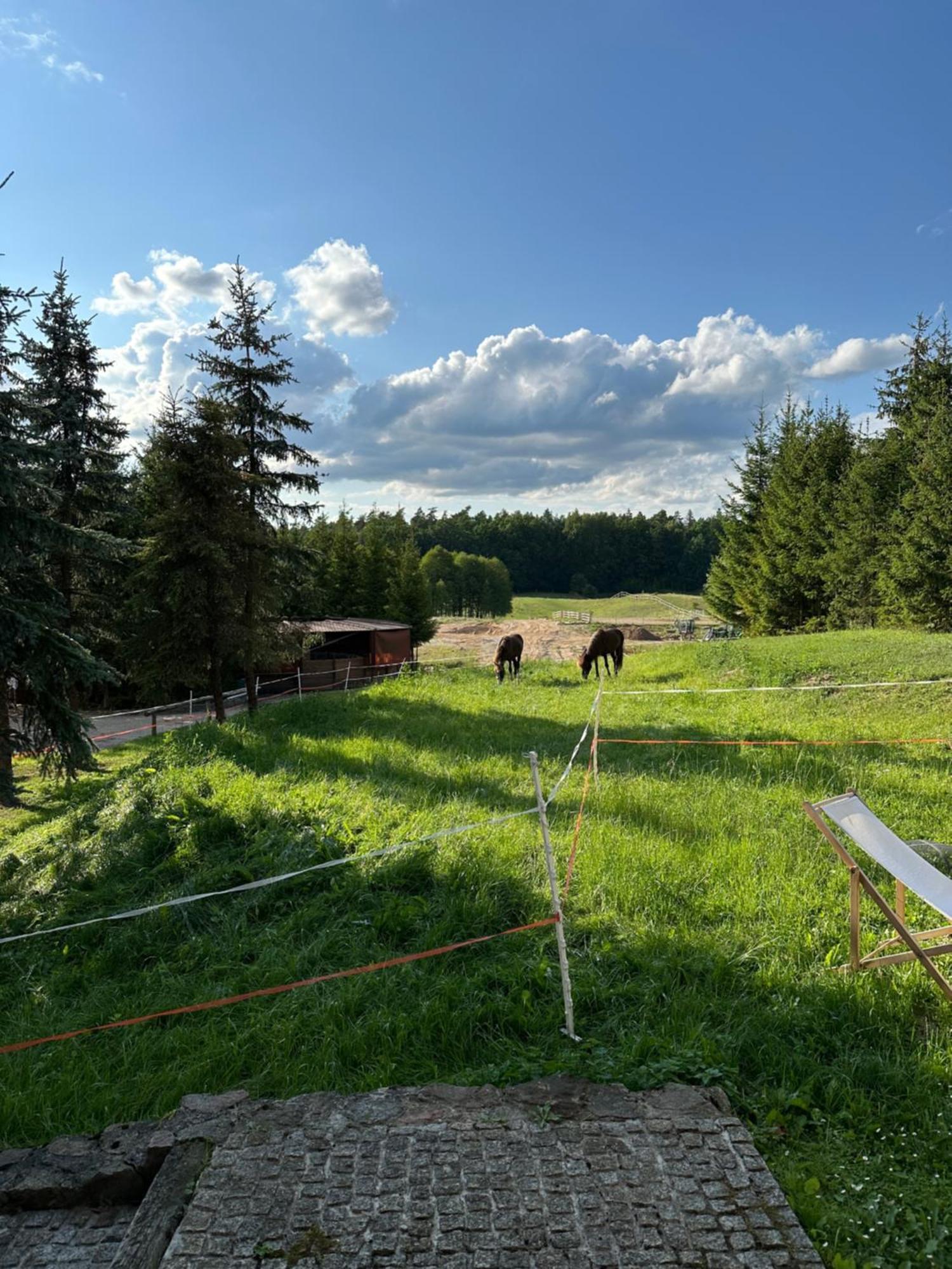 Stajnia Lipowo 45 Villa Buitenkant foto