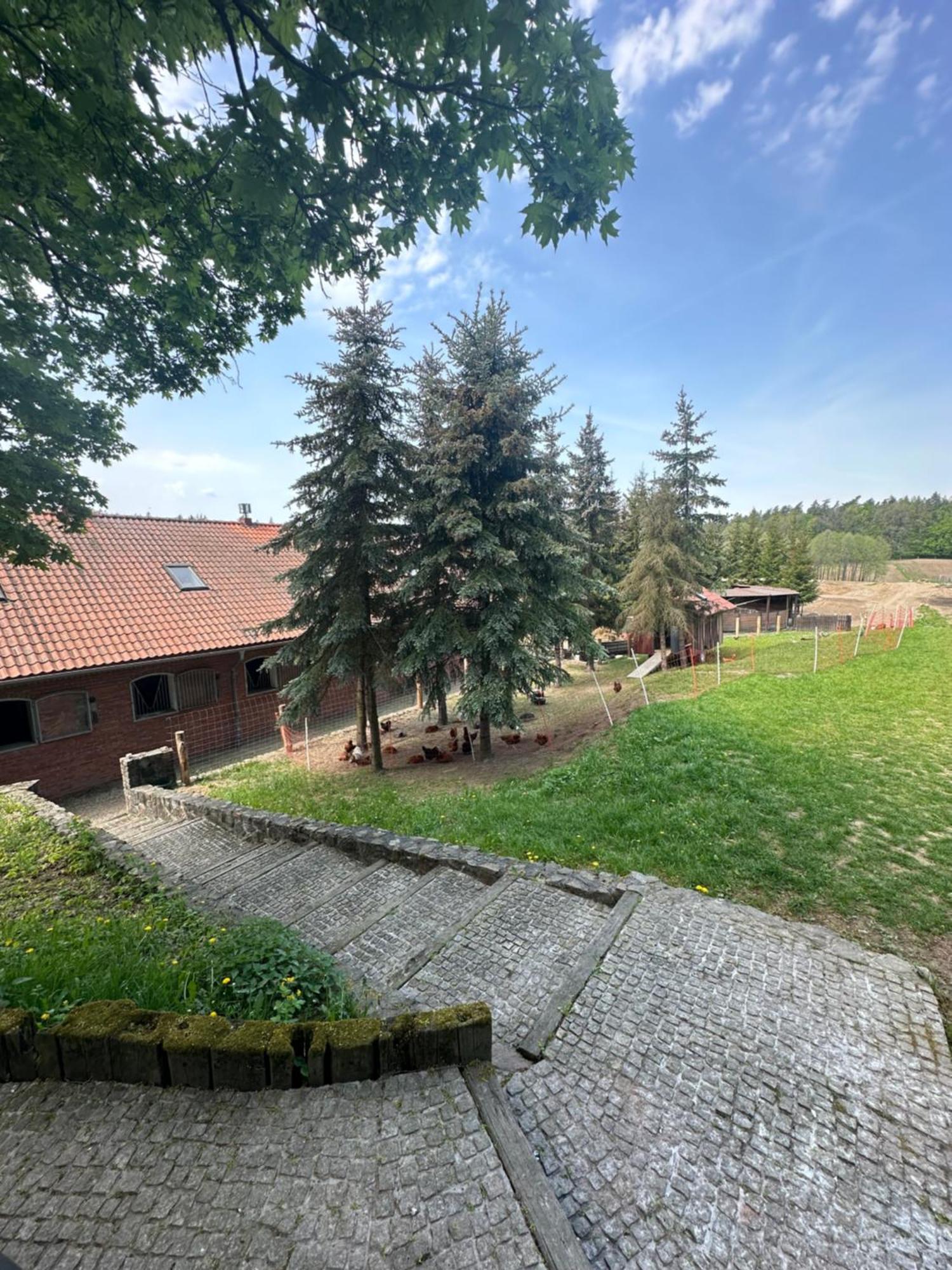 Stajnia Lipowo 45 Villa Buitenkant foto